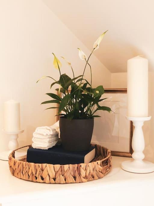 The Sycamore Retreat - Hampstead London Ngoại thất bức ảnh
